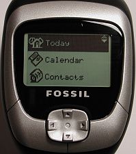 fossil17