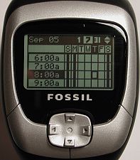 fossil18