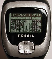 fossil19