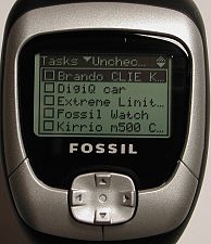 fossil22