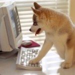 puppy-tweeting