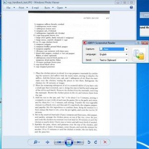 ABBY software works by having you position a grid around the screen image to be OCR'ed.  Here, the entire scanned image is shown in a viewer so ABBY will attempt to OCR the entire page . . .