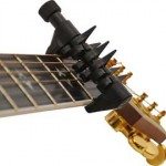 spidercapo