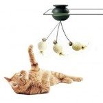 FroliCat Sway 1