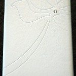 valencia-ip4-case-review-01