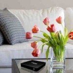 vase of red tulips in modern white living room - home decor