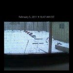 dropcam-android