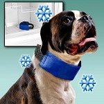 cool_collar
