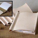 corter-fieldnotes