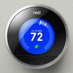 nest
