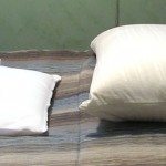 polarpillow-3