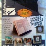 bookwedge-schettino-review-01