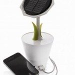 xd-design-solarsunflower