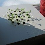 click-and-grow-12