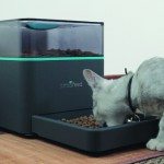 pintofeed-feeder-1