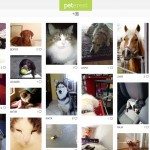 peterest-app