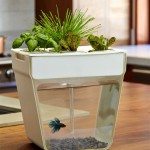 Aquaponics_aquafarm_01