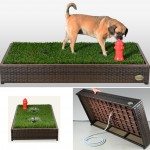 porch-potty-litter-box-for-dogs