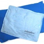polarpilow2013-1