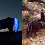 tail-lights-safety-lights-for-horses