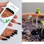 sprout-pencil-kit
