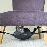 cat-hammock