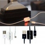 chargerleash-1