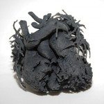 3D-Heart-Model