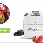 berrybreeze