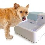 naturespa-uv-fountain-for-small-dogs-2