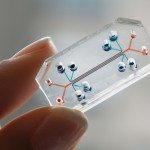Organs-on-Chips-1