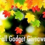 fallcontest