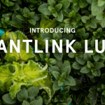 plantlink-lush