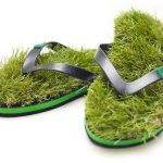 grass-flipflops