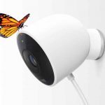 nest-outdoor