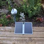 bloomsky-6