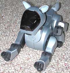 aibo1