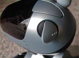 aibo6