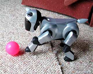 aibo8