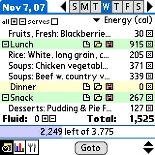 CalorieKing Daily Log 1