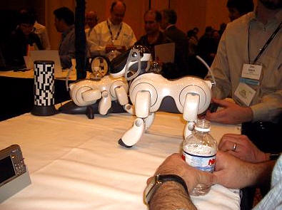 ces 2004 51