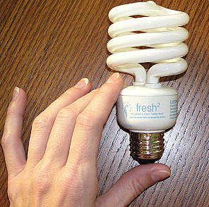 fresh2 bulb3