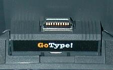 gotype6.jpg (6211 bytes)