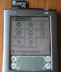 palm bt3