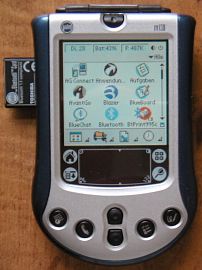 palm bt4