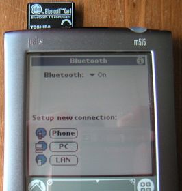 palm bt5