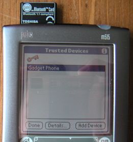 palm bt6