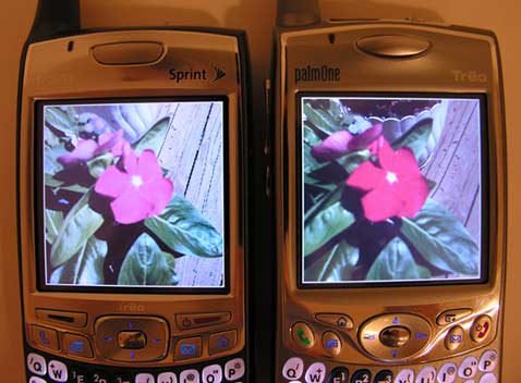 palm treo 700p 14