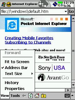 how to make text smaller on internet explorer