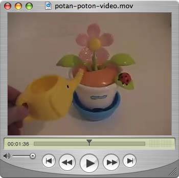 potan poton4